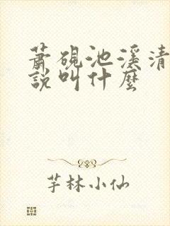 萧砚池溪清梦小说叫什么