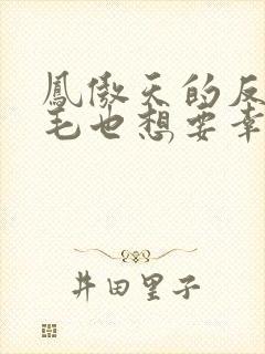 凤傲天的反派黄毛也想要幸福漫画