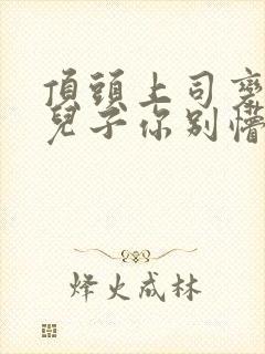 顶头上司变后妈儿子你别懵视频封面