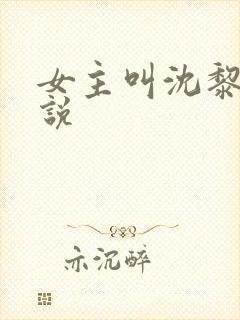 女主叫沈黎的小说