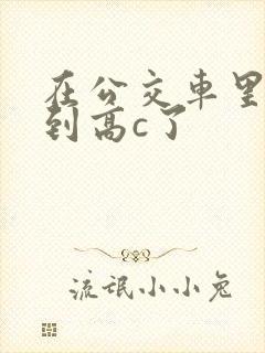 在公交车里c弄到高c了封面
