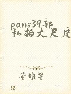 pans39部私拍大尺度模特内部
