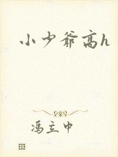 小少爷高h