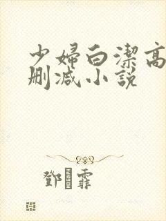 少妇白洁高义无删减小说