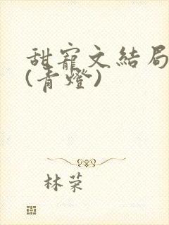 甜宠文结局之后(青灯)
