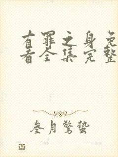 有罪之身免费观看全集完整版高清封面