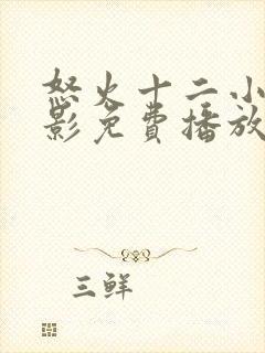 怒火十二小时电影免费播放在线观看