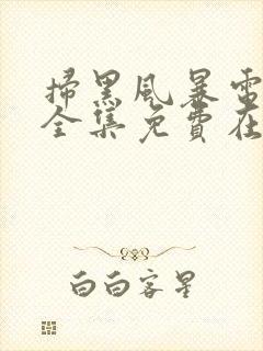 扫黑风暴电视剧全集免费在线观看