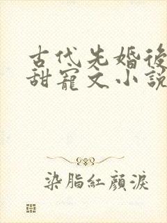 古代先婚后爱的甜宠文小说