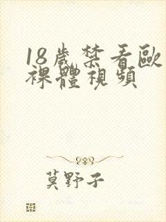 18岁禁看欧美裸体视频