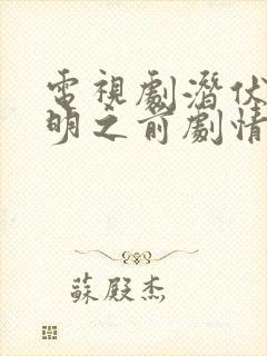 电视剧潜伏在黎明之前剧情介绍