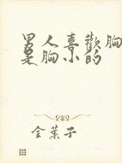 男人喜欢胸大还是胸小的