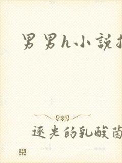 男男h小说总受