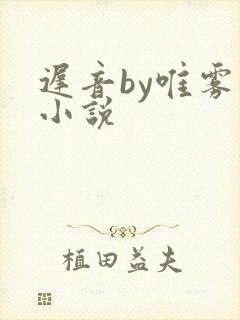 迟音by唯雾的小说