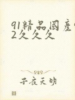 91精品国产92久久久
