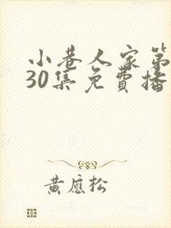小巷人家第二部30集免费播放
