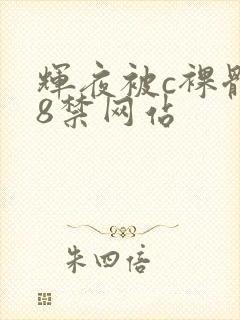 辉夜被c裸体18禁网站