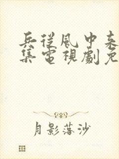 兵从风中来40集电视剧免费观看封面