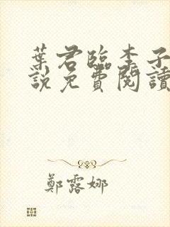 叶君临李子染小说免费阅读