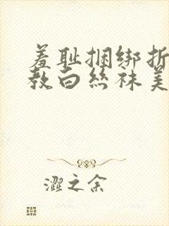 羞耻捆绑折磨调教白丝袜美女的小说