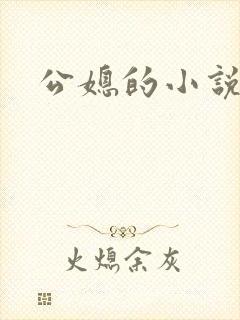 公媳的小说