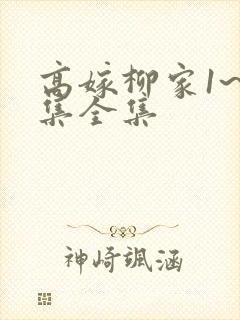 高嫁柳家1~6集全集
