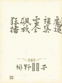 狂飙电视剧免费播放全集追剧网