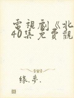 电视剧《北上》40集免费观看
