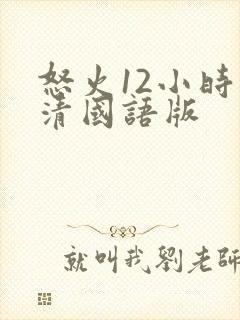 怒火12小时高清国语版