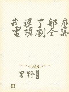 我迟了那么多年电视剧全集免费播放