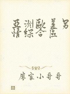 亚洲欧美另类激情综合区