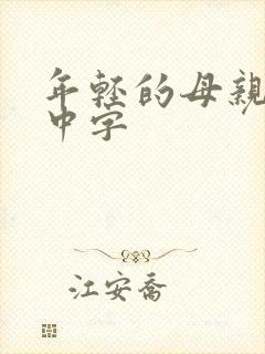 年轻的母亲bd中字封面