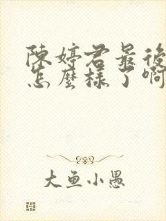 陈婷君最后结局怎么样了啊