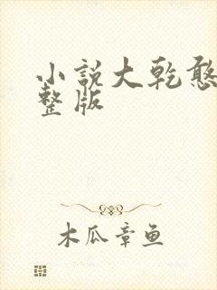 小说大乾憨婿完整版封面