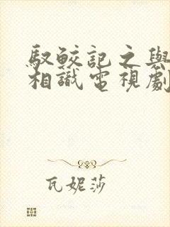 驭鲛记之与君初相识电视剧免费
