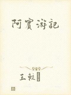 阿宾游记