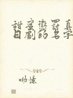 甜蜜惩罚真人版日剧的名字叫啥