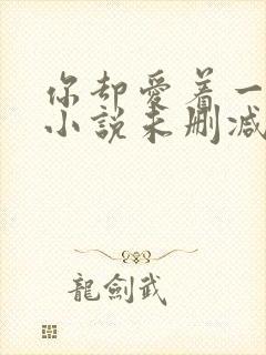 你却爱着一个他小说未删减