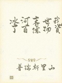 冰河末世我囤积了百亿物资无弹窗