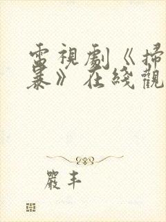 电视剧《扫黑风暴》在线观看
