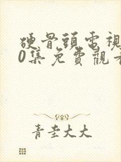 硬骨头电视剧40集免费观看