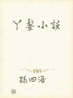 丫鬟小说