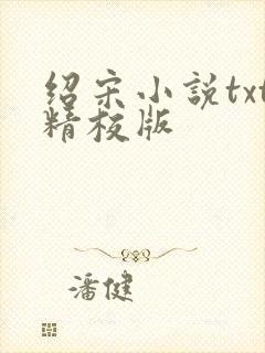 绍宋小说txt精校版