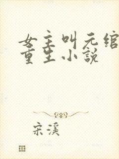 女主叫元绾月的重生小说