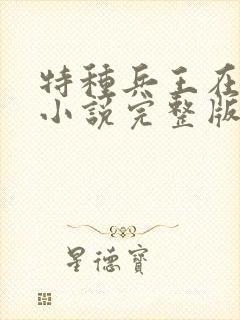 特种兵王在山村小说完整版