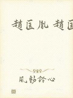 赵匡胤 赵匡义