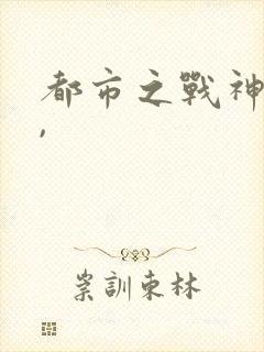 都市之战神无双,
