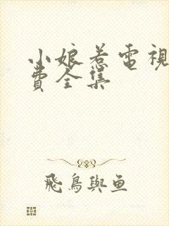 小娘惹电视剧免费全集