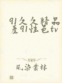 91久久精品国产91性色tv封面