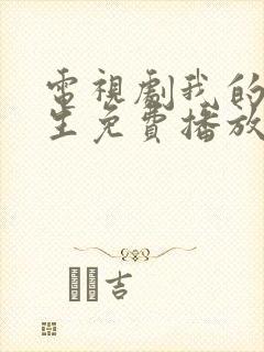 电视剧我的后半生免费播放